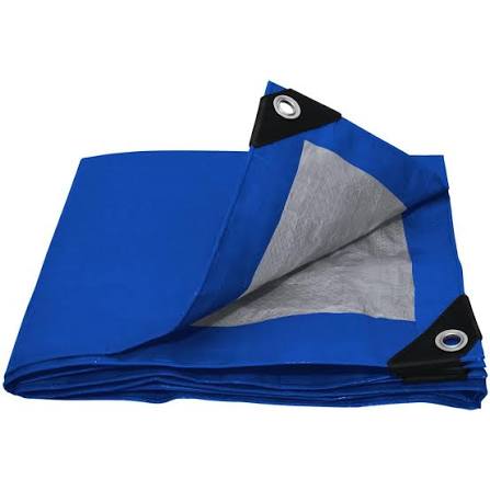 Lona de Polietileno 2 x 3 m Surtek